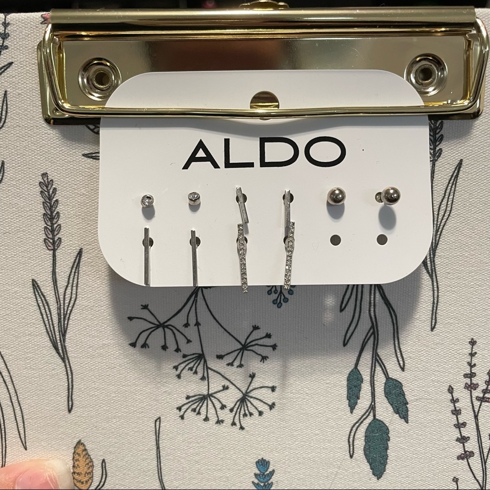 ALDO Earrings Set